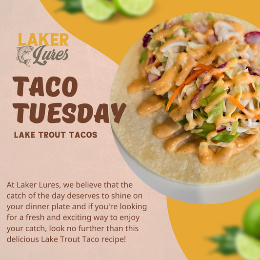 Lake Trout Tacos