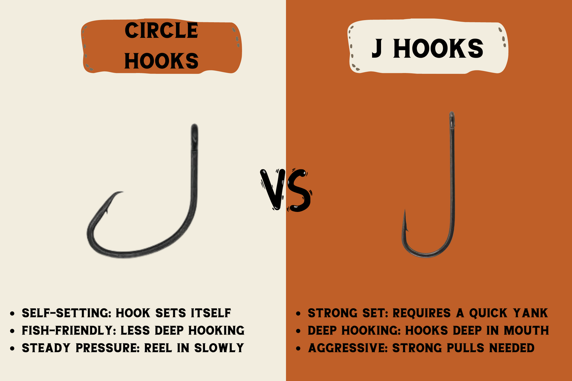 chrome lazer point circle fish hooks Amazon.com : Live Bait Saltwater Circle Hook Assortment